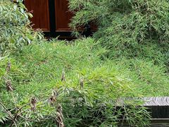 -鱼桥巷·美学川菜