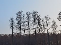 -武汉欢乐谷