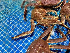 -三亚火车头万人海鲜广场