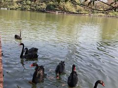 -中国移动南方基地