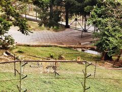 -深圳野生动物园