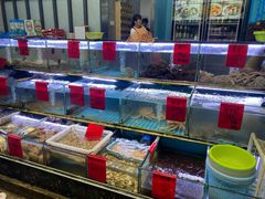 -金海湾海鲜排档(朱家尖店)