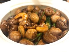 -尚一汤·粤菜海鲜(环球港店)