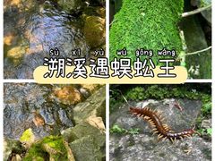 -大罗山风景区