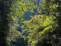 -夏霖九天银瀑风景区