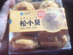 -卡滋贝诺动物奶油生日蛋糕(亚太潮尚店)