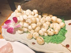 -同仁四季椰子鸡(海岸城天利店)