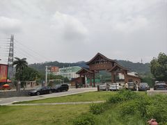 -广州神农草堂中医药博物馆