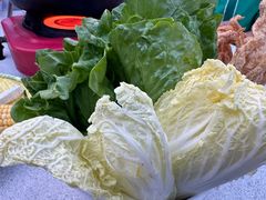 -墨脱石锅椰子鸡•香草鸭•东山羊(大东海店)