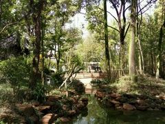 android_upload_pic-王家渡火锅(三苏祠店)