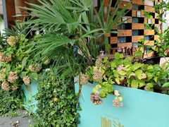 -昆山城市生态森林公园