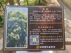 -红螺寺