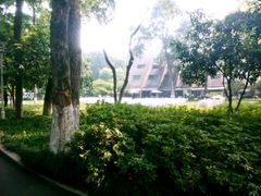 android_upload_pic-杭州花家山庄