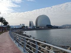 -野狸岛