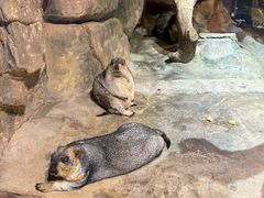 -正佳雨林生态植物园