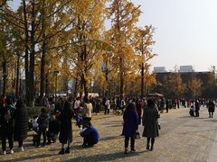 -两江幸福广场