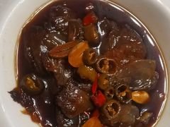 海蜇头-海江5号