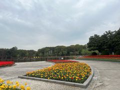 -上海鲜花港