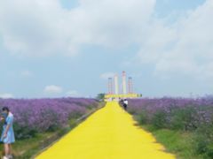 -光明小镇欢乐田园