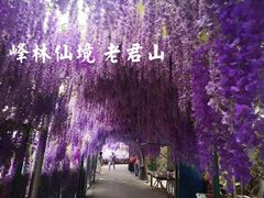 -老君山风景名胜区