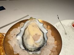 -Oyster Talks 四度蚝法餐厅