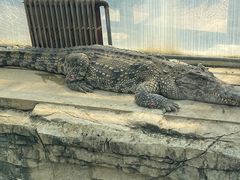 -石家庄市动物园