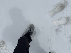 -祁连山·岗什卡雪峰景区