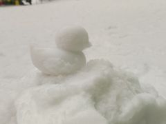 -广州热雪奇迹