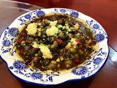 -呼吸森林·生态农庄农家乐私房菜