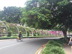 -布里斯班南岸公园