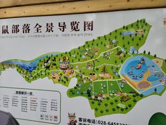 -成都松鼠部落