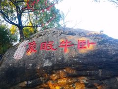 -灵岩山风景区