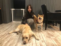 -百好乐宠物友好餐厅(朝外大街店)