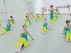 -西安小天鹅艺术团(金花路校区)