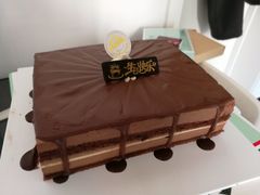香浓巧克力慕斯-维尔纳斯·生日蛋糕动物奶油冰淇淋蛋糕(人大店)