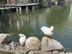 -天毓山庄·餐厅