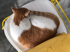 -五进制 Coffee Shop