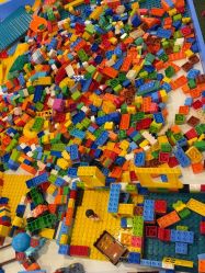 -卡通尼·Safari非洲探索乐园·生日会(金桥国际商业广场店)