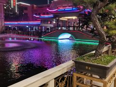 -番禺宾馆丽苑厅