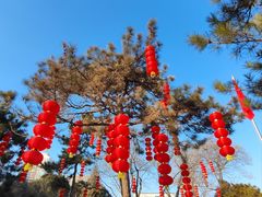 -麦当劳(团结湖店)