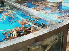 -盒马鲜生(悦峰店)