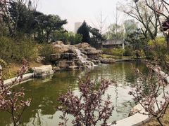 -迎泽公园