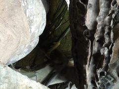 顺景温泉-顺景温泉