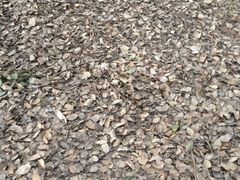 -蜀冈西峰生态公园