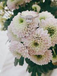 -钻石小鸟钻戒婚戒定制(石路店)