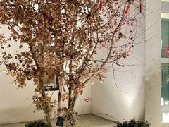 -福院