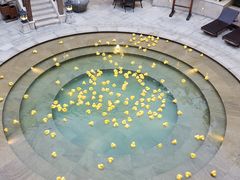 -苏州湾王焰温泉度假酒店