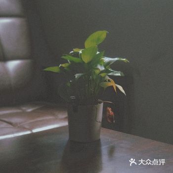 「尚艺秘密(禅城店)」高中毕业想拍一套属于自己的个人