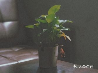 「尚艺秘密(禅城店)」高中毕业想拍一套属于自己的个人