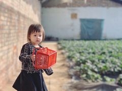 -甜心庄园·甜心草莓采摘园(西青中北店)